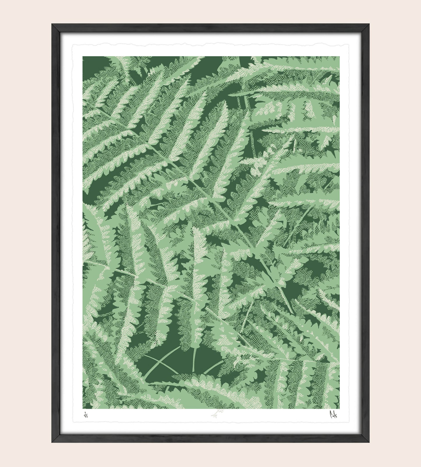 Headwater Ferns Screenprint