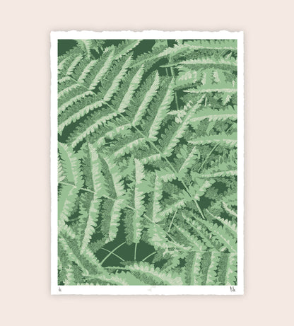 Headwater Ferns Screenprint