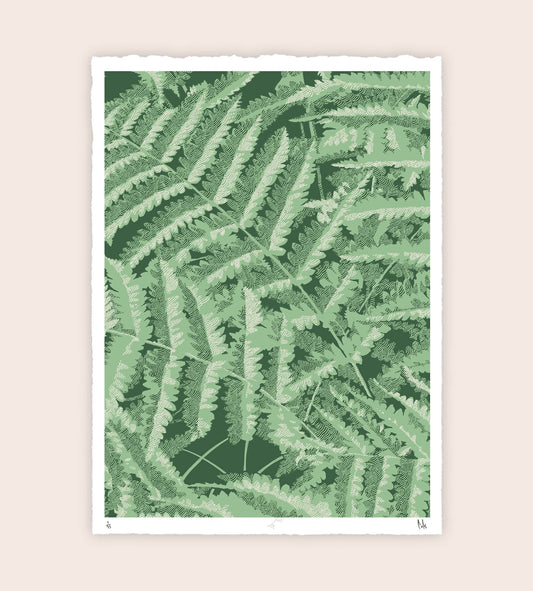 Headwater Ferns Screenprint