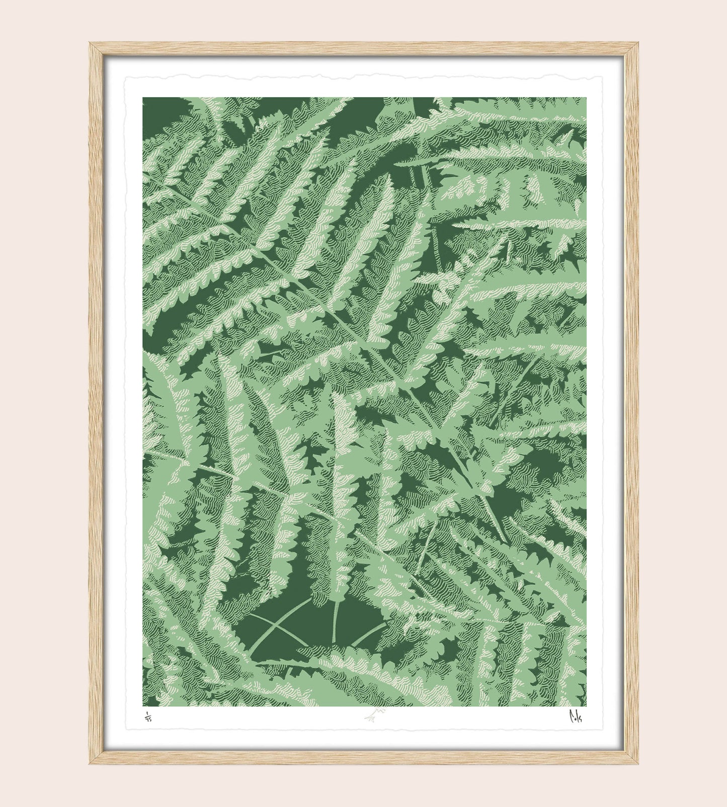 Headwater Ferns Screenprint