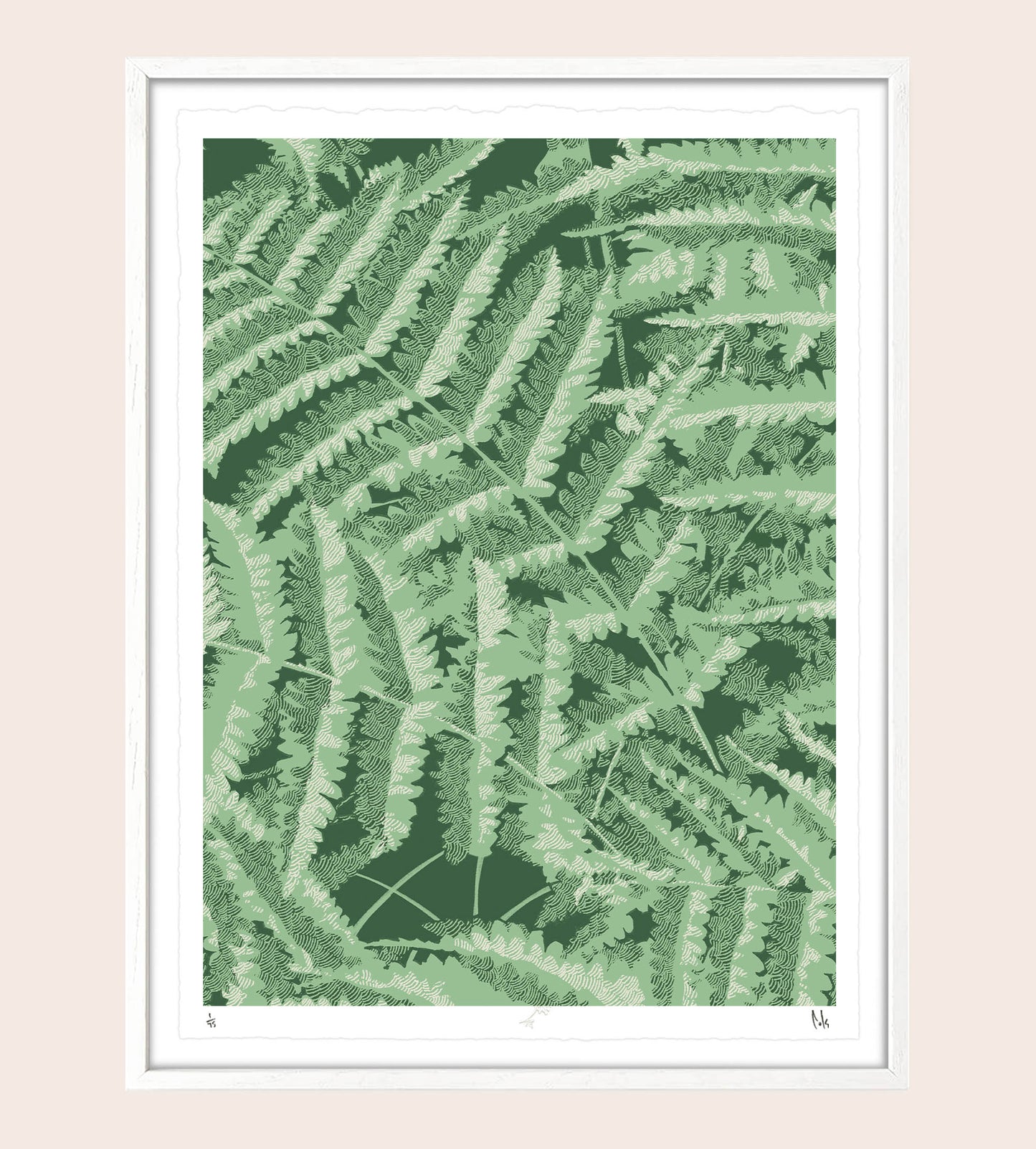 Headwater Ferns Screenprint