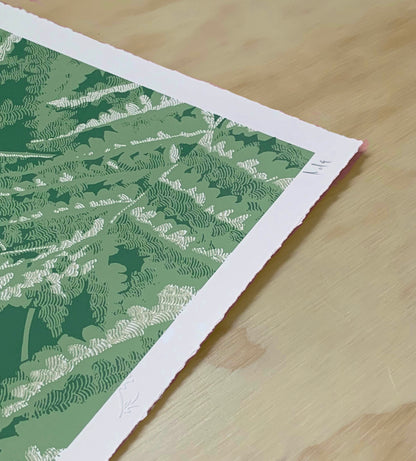 Headwater Ferns Screenprint